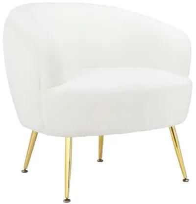 Kara Teddy Soft Accent Chair with Gold Legs