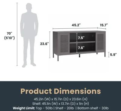 Shadwick Metal TV Stand for TVs up to 50" with Perforated Metal Mesh Accents