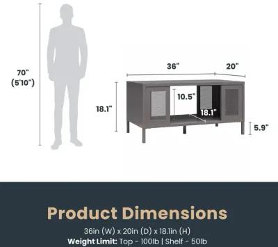 Shadwick Metal Coffee Table with Perforated Metal Mesh Accents