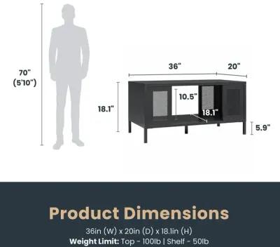 Shadwick Metal Coffee Table with Perforated Metal Mesh Accents