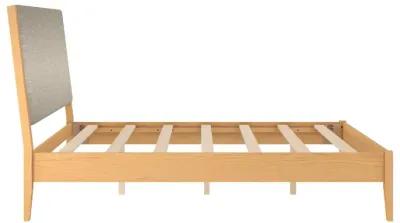 Dacin  Wood and Upholstered Platform Bed