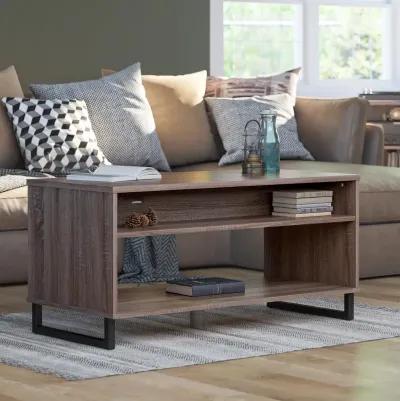 Coffee Table with 2 Shelves