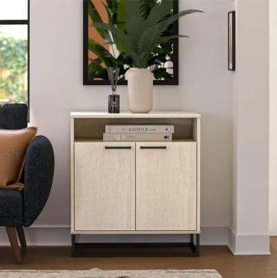 Kelly 2 Door Accent Cabinet