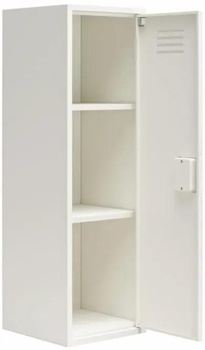 Casey Kids Tall Metal Storage Locker