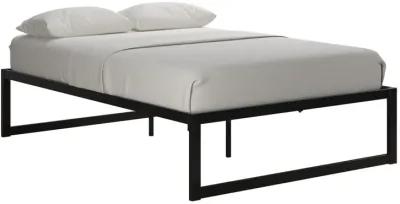 Avey Modern Metal Platform Bed Frame