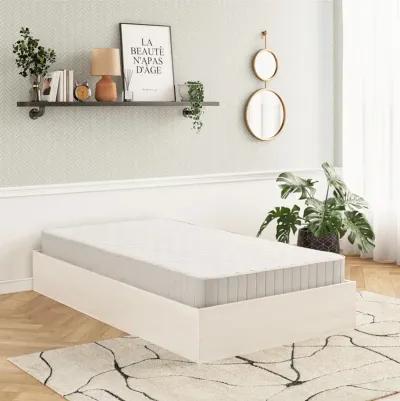 DreamSaver Platform Bed Frame with 6 Inch Mattress Included