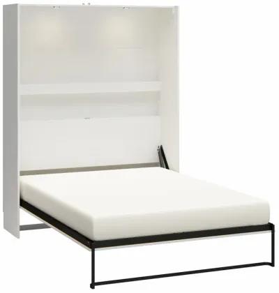 Holly Hills Murphy Wall Bed