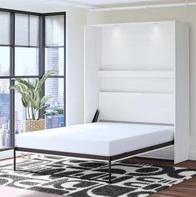 Holly Hills Murphy Wall Bed