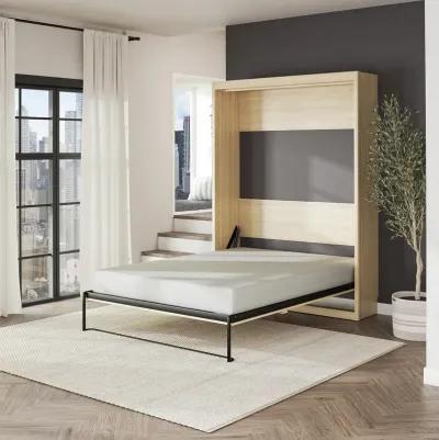 Paramount Queen Murphy Bed with 8" Memory Foam Mattress