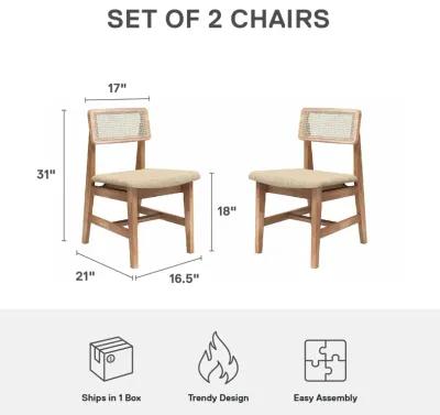 Eleni Cane Dining Chairs, Set of 2