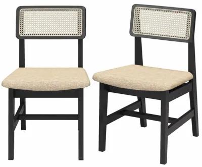 Eleni Cane Dining Chairs, Set of 2