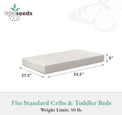 Golden Star Crib and Toddler Bed Mattress