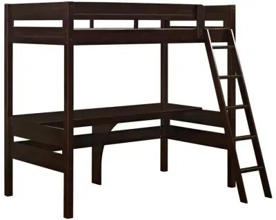 Harlan Twin Size Loft Bed with Desk and Ladder