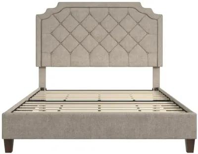 Eloise Chenille Upholstered Platform Bed