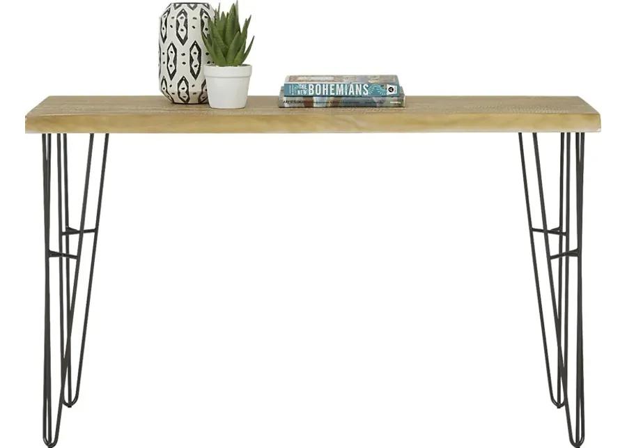 Palm Grove Brown Sofa Table