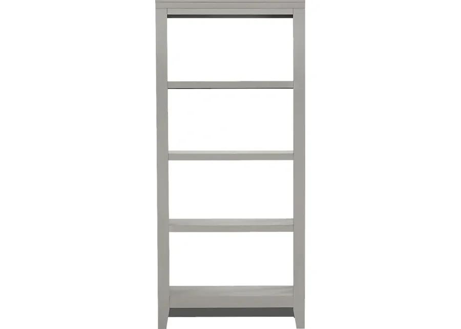 Abbie Silver Bookcase