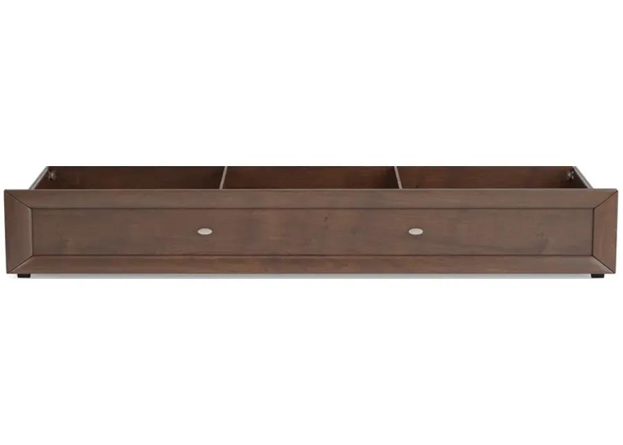 Kids Ivy League 2.0 Walnut Twin Storage Trundle