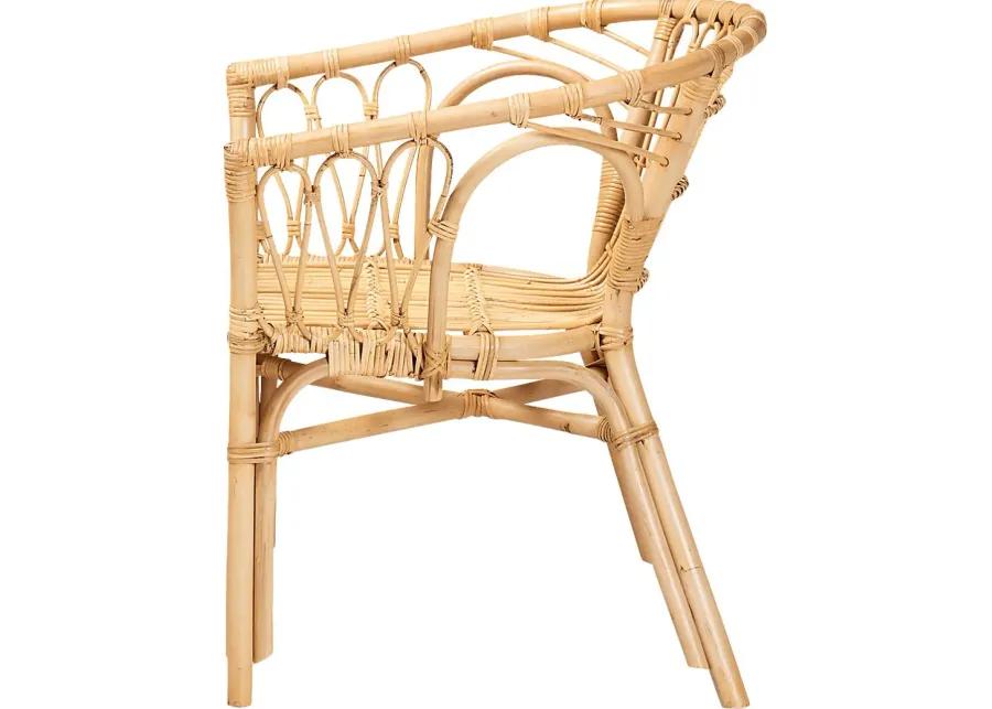 Elinaor Brown Arm Chair