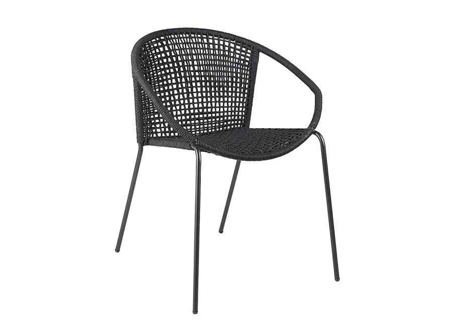 Terela Black Outdoor Arm Chair, Set of 2