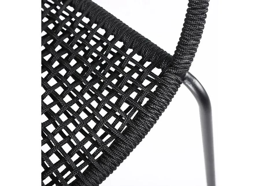 Terela Black Outdoor Arm Chair, Set of 2