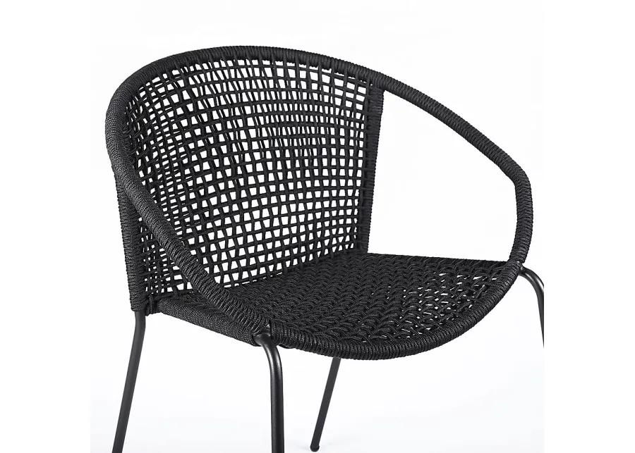 Terela Black Outdoor Arm Chair, Set of 2