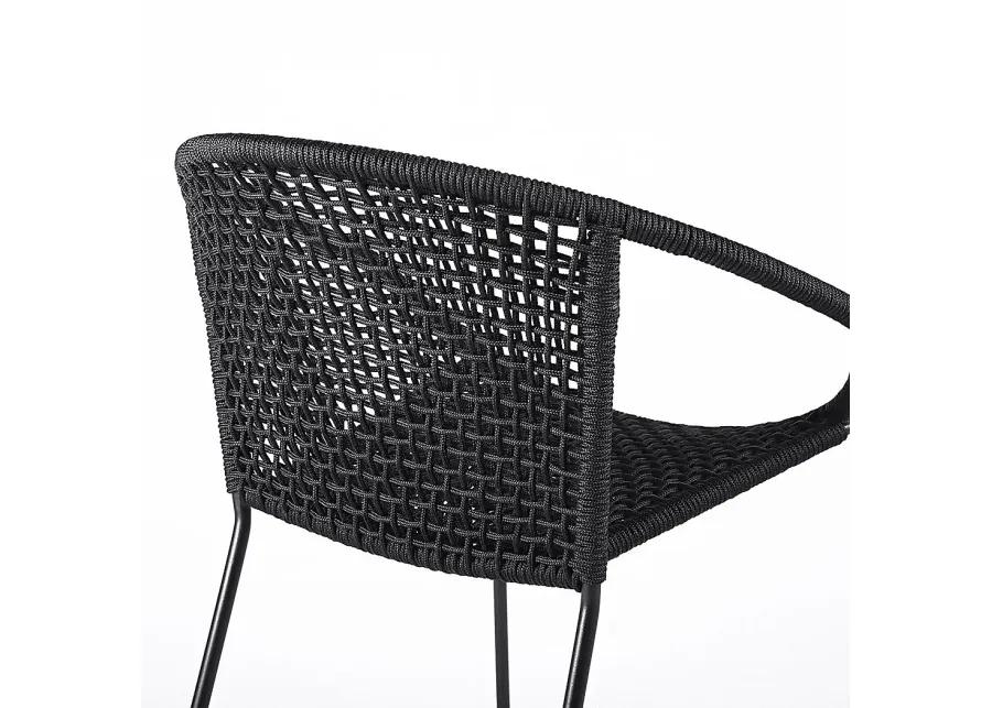 Terela Black Outdoor Arm Chair, Set of 2