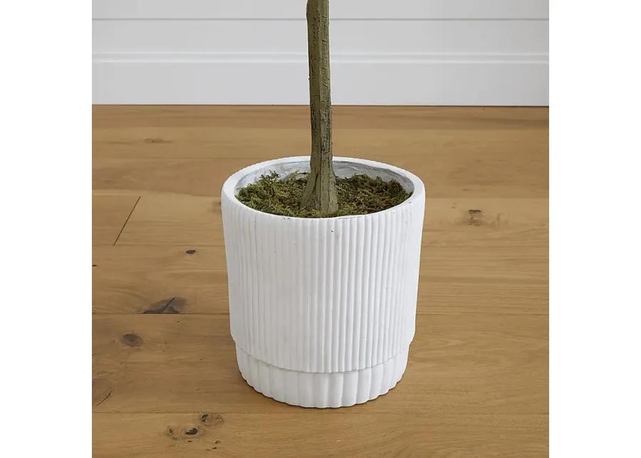 Docena Green Tree with Planter