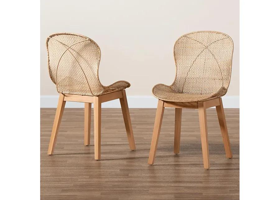 Dunstable Brown Dining Chair, Set of 2