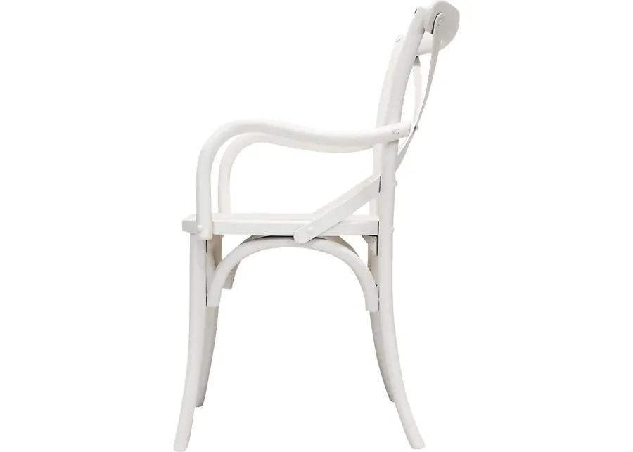 Araeno White Dining Chair, Set of 2