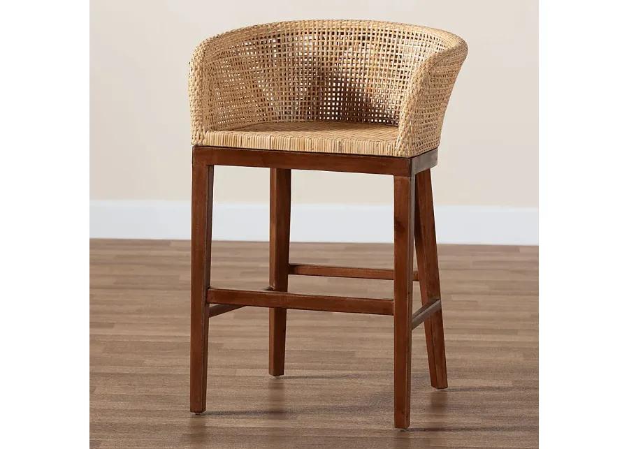 Lecinda Brown Counter Stool