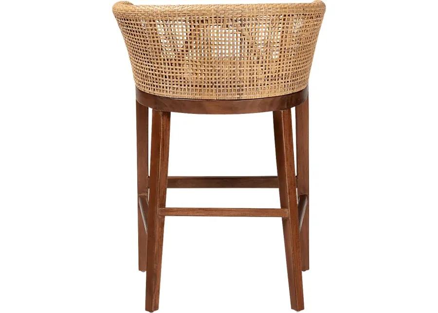 Lecinda Brown Counter Stool