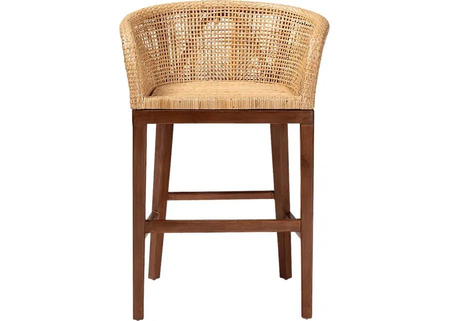 Lecinda Brown Counter Stool