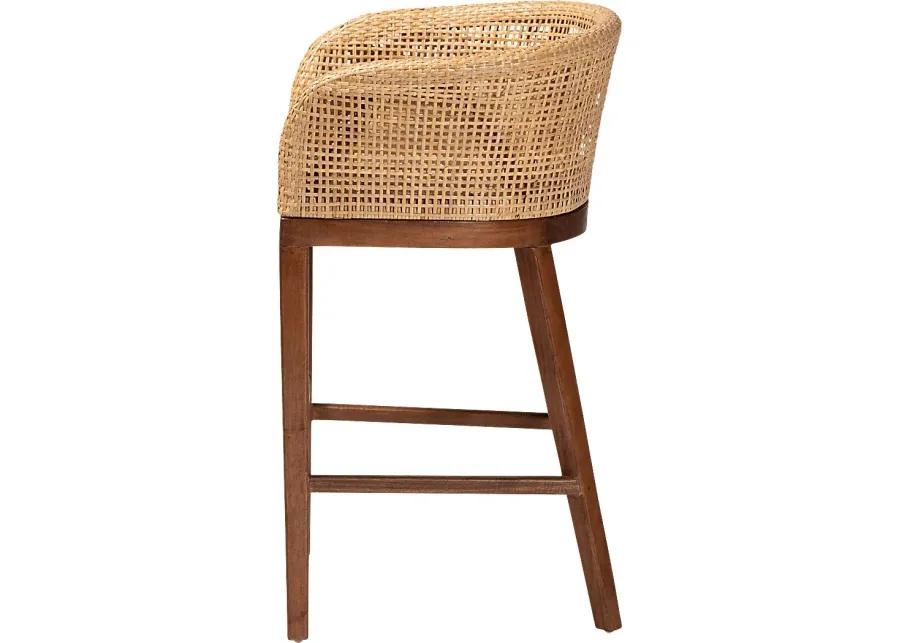 Lecinda Brown Counter Stool