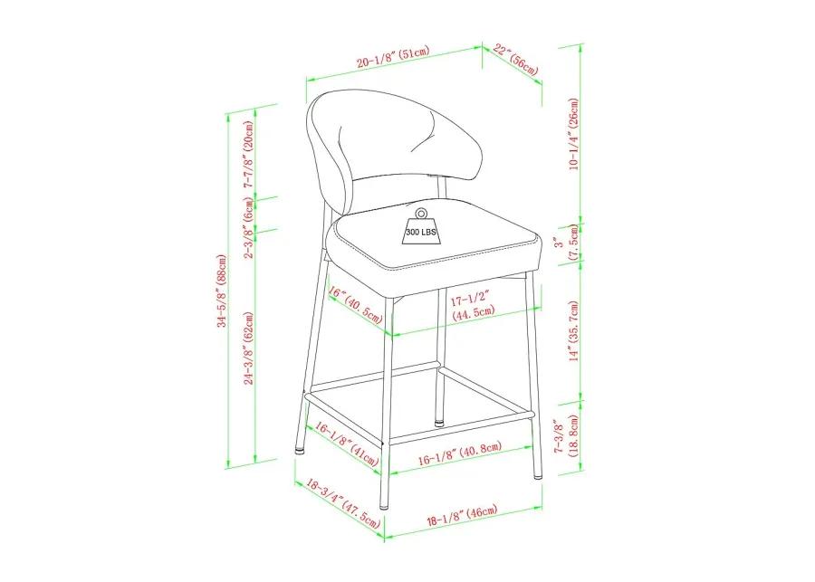 Woodsorrel Charcoal Counter Height Stool, Set of 2