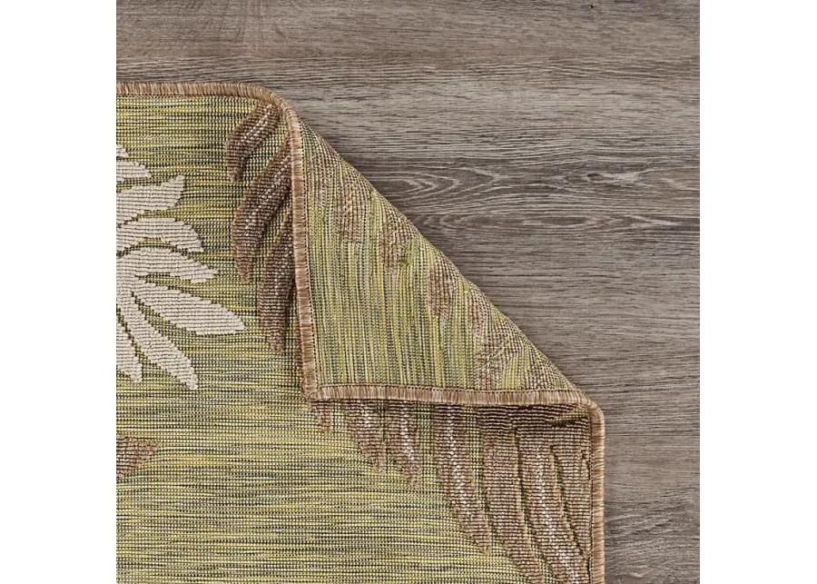 Abuhi Tan/Green 5' x 7' Indoor/Outdoor Rug