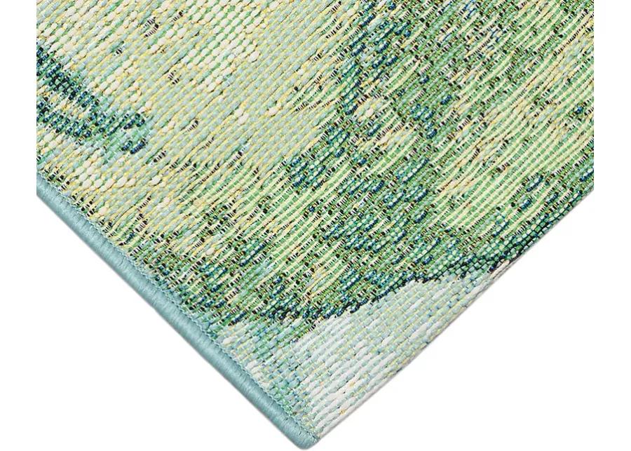 Eucapas Green 7'10 x 9'10 Indoor/Outdoor Rug