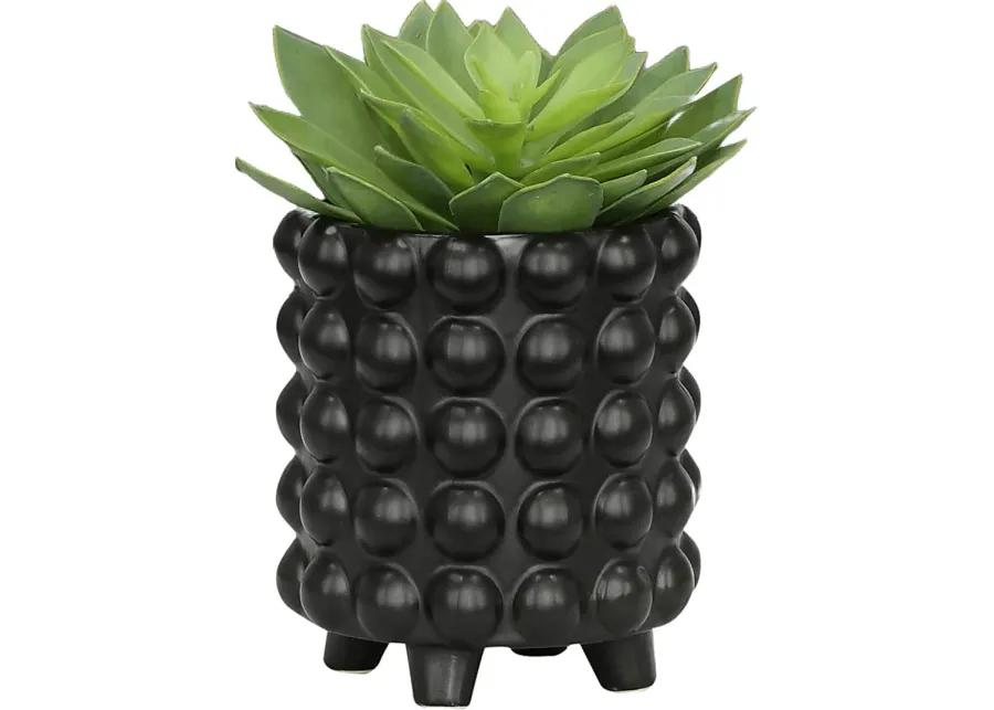 Chrystan Black Planter, Set of 2