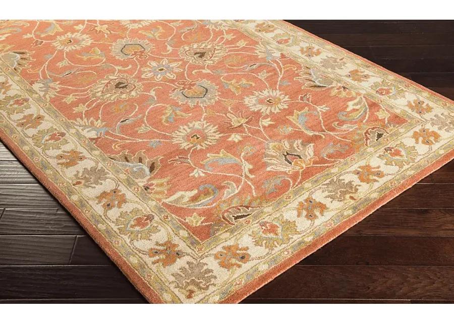 Belinera Orange 4' x 6' Rug