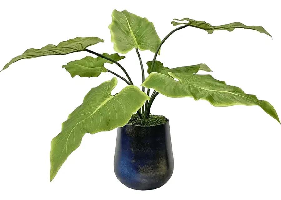 Vanisia Blue Decorative Planter