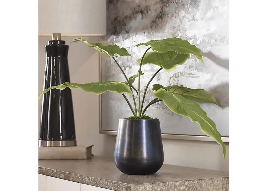 Vanisia Blue Decorative Planter