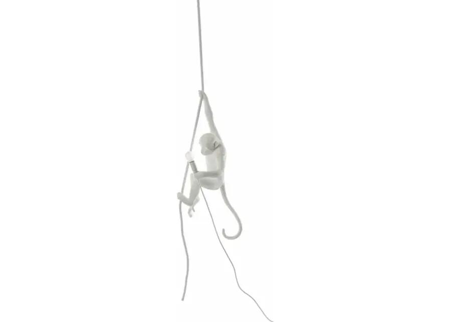 Monkey Lamp - Ceiling White By Seletti