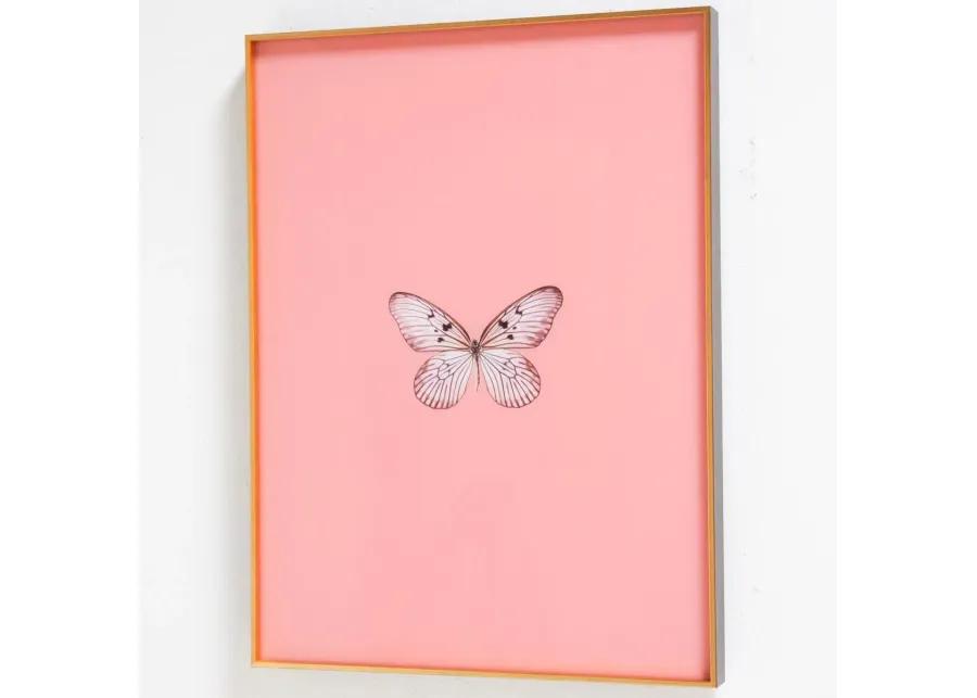 Framed Butterfly Print in Blush