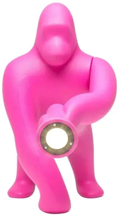 Kong XS Lamp - Fuchsia