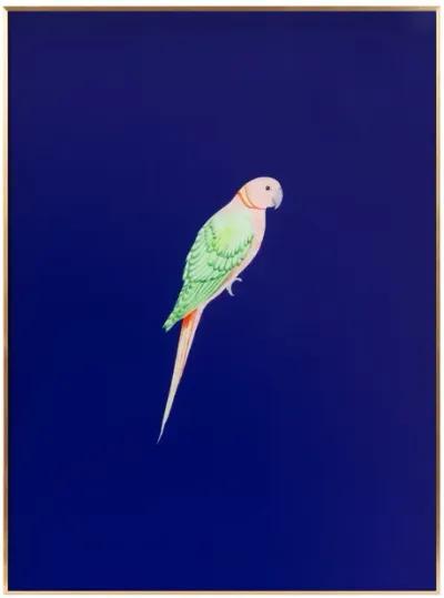 Tropical Bird Series - Blue