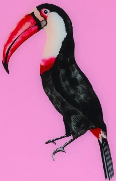 Tropical Bird Series - Pink