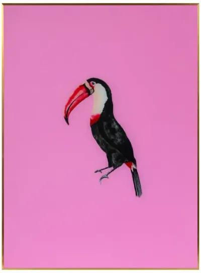 Tropical Bird Series - Pink