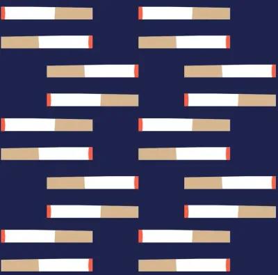 Ciggy Ciggy on Navy Wallpaper