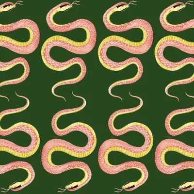 Boho Snakey on Green Wallpaper