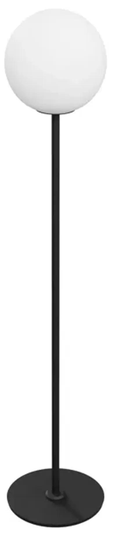 Surprise Surprise Floor Lamp in Black