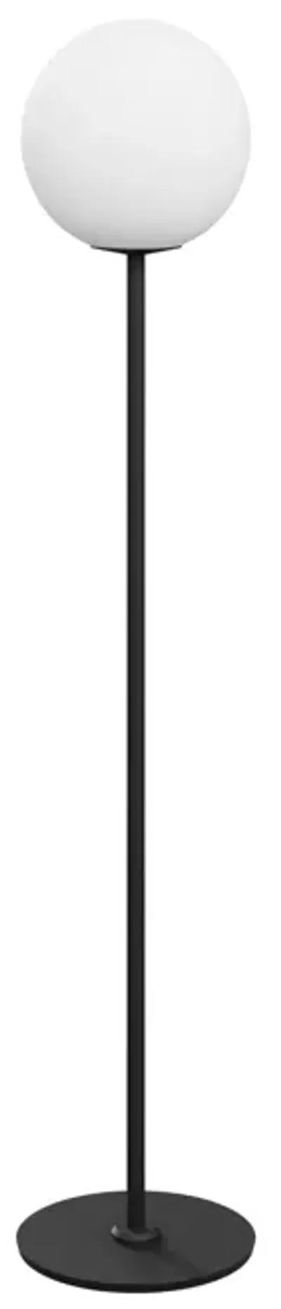 Surprise Surprise Floor Lamp in Black